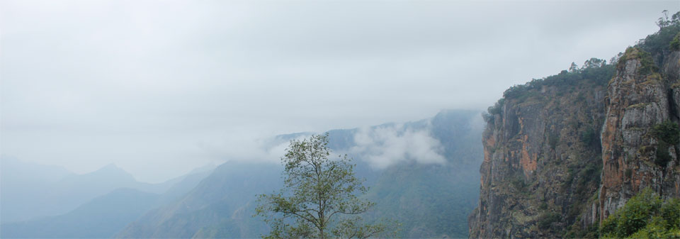 Kodai