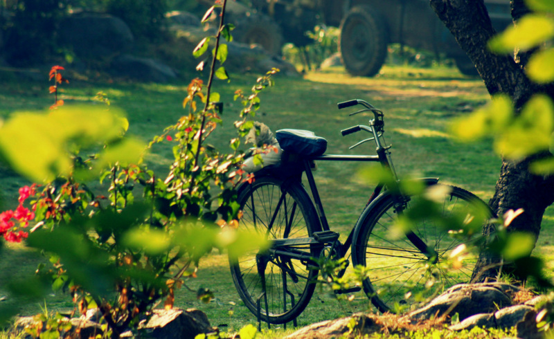 A Sweet Winter Reverie in Delhi