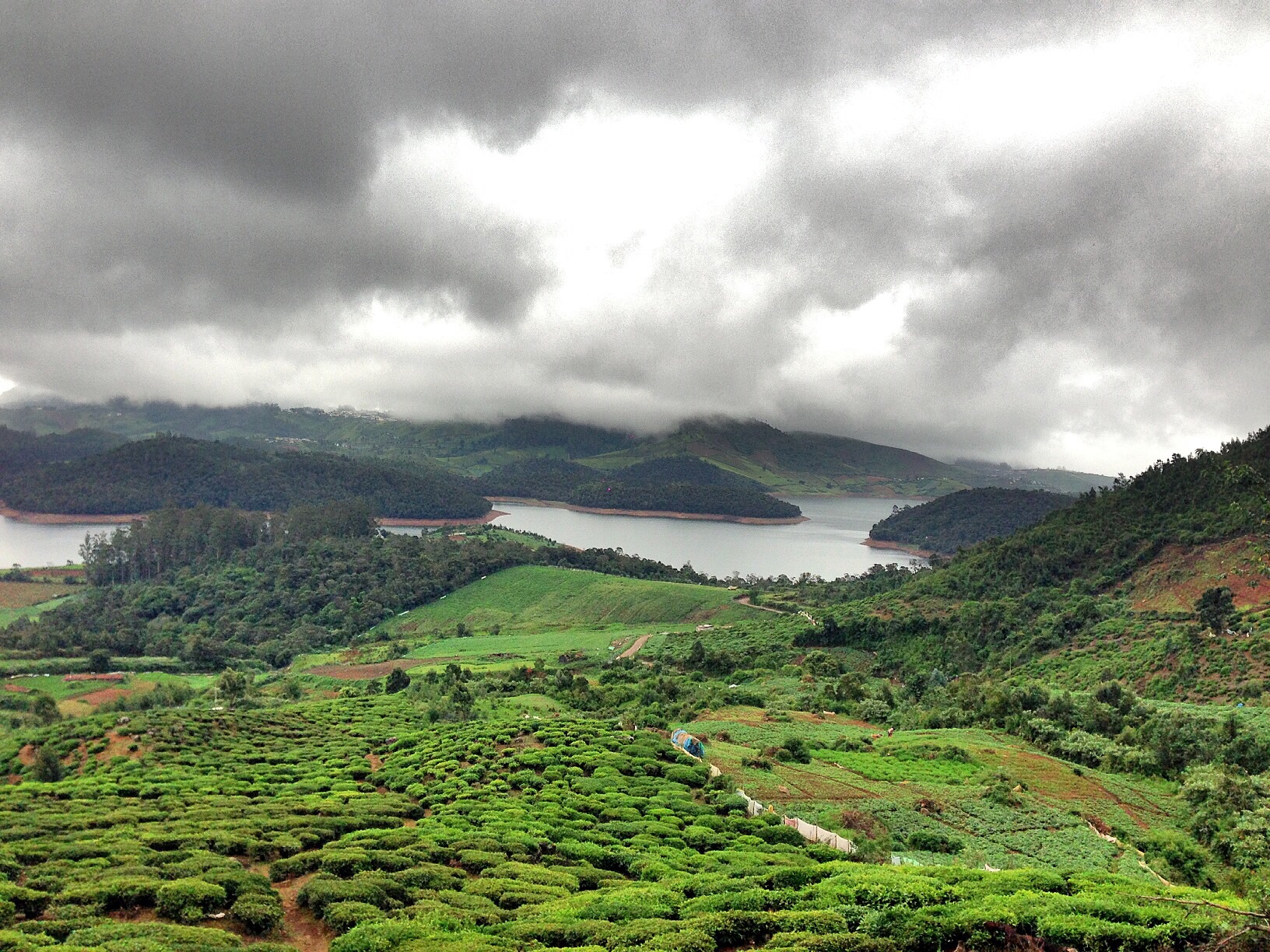 Red Hills in the Nilgiris:A love affair with the monsoon!