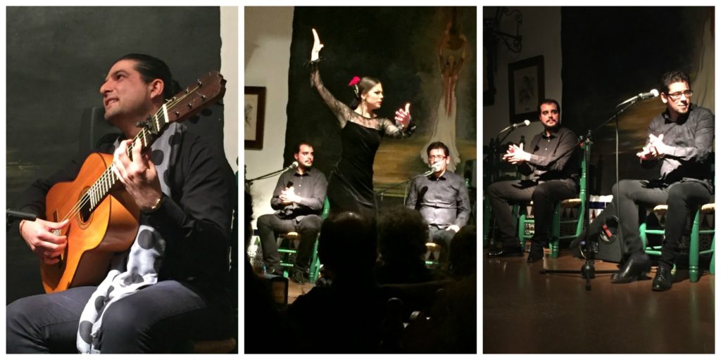 flamenco collage 2