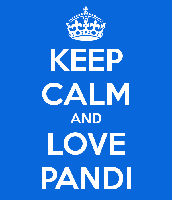 keep-calm-and-love-pandi-55